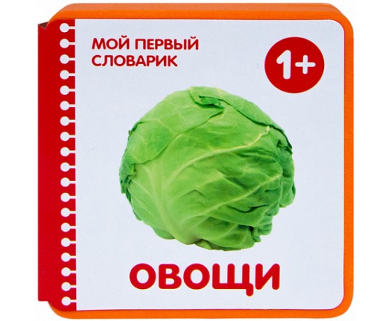 Vegetables My First Dictionary